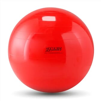 Ballon de gymnastique Gymnic