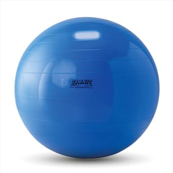 Ballon de gymnastique Gymnic - 650 mm