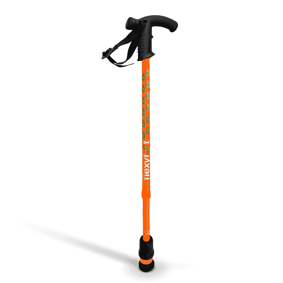 Canne de marche Flexyfoot avec poignée Derby