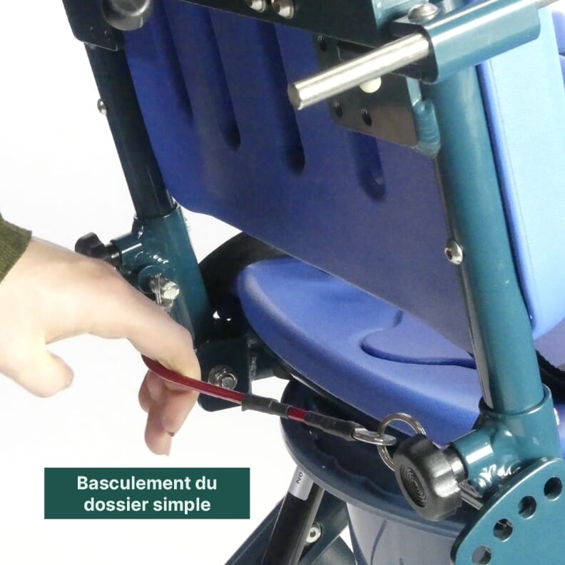 Chaise de douche et de toilettes Pelican