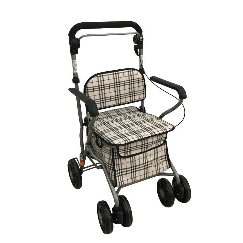 Chariot de course Baladeo