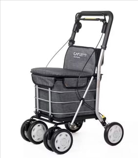 Chariot de course Carlett 800 Gris