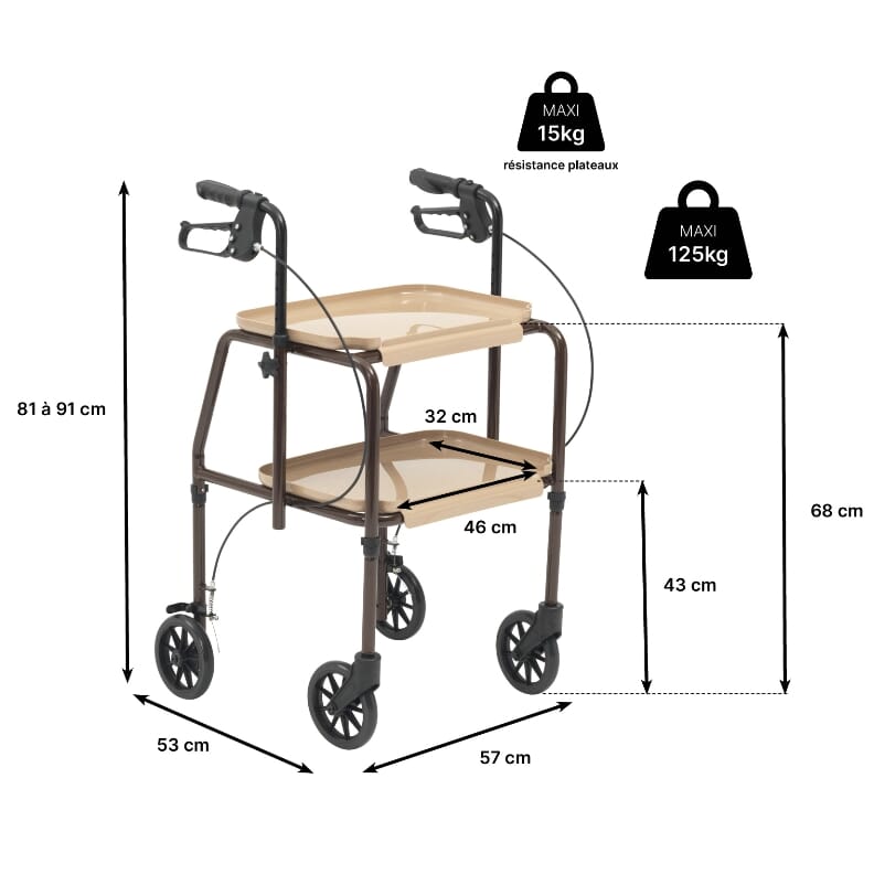 Chariot de cuisine et déambulateur combinés