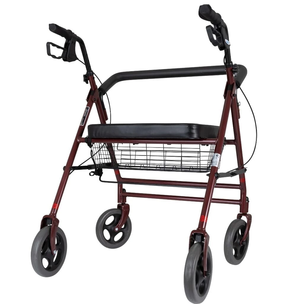 Déambulateur bariatique robuste Days