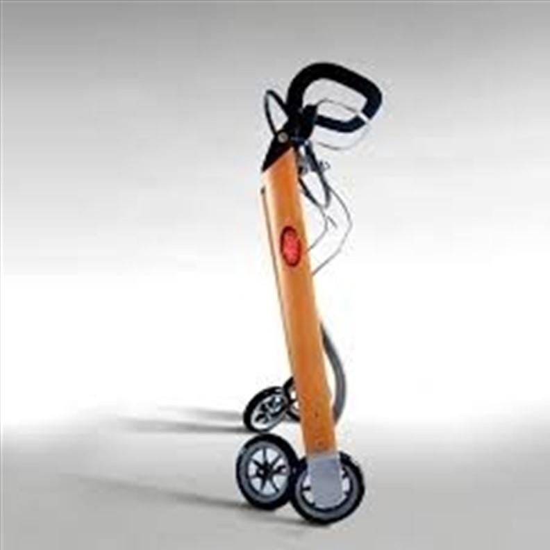 Let's Go In door - Déambulateur Chariot d'intérieur - Bois