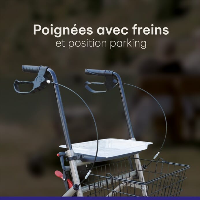 Déambulateur rollator Cristallo 4 roues