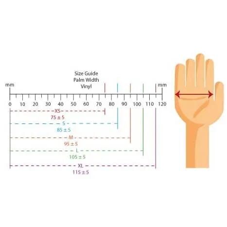 Gants en vinyle non poudrés