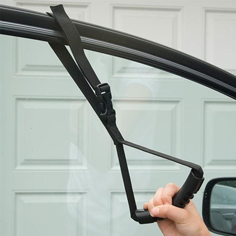 Poignée de transfert pour voiture