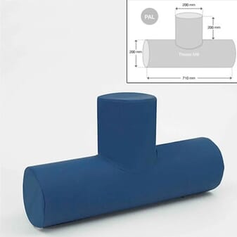 Rouleau de positionnement avec section en T