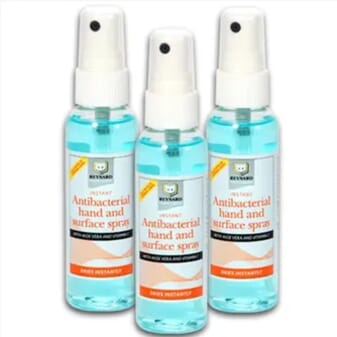 Spray antibactérien pour les mains et les surfaces - Reynard