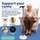 Support pour canne