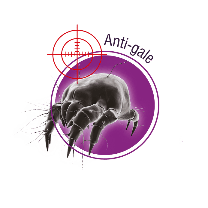 Traitement puissant anti-gale